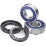 BEARING-AND-SEAL-KIT-FL250.jpg